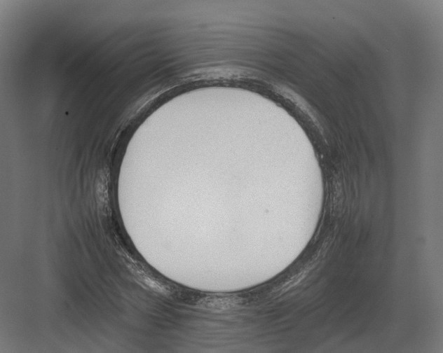 X0000082140778200702162141