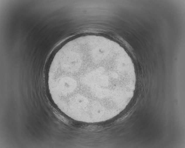 X0000082140779200702162141