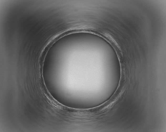 X0000082140781200702162141