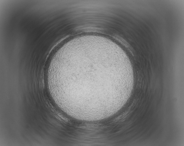 X0000082140782200702162141