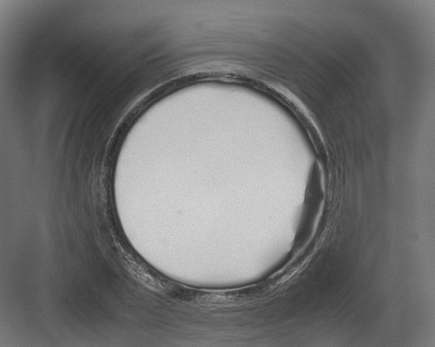 X0000082140783200702162141