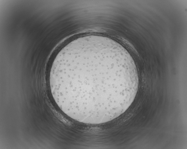 X0000082140784200702162141