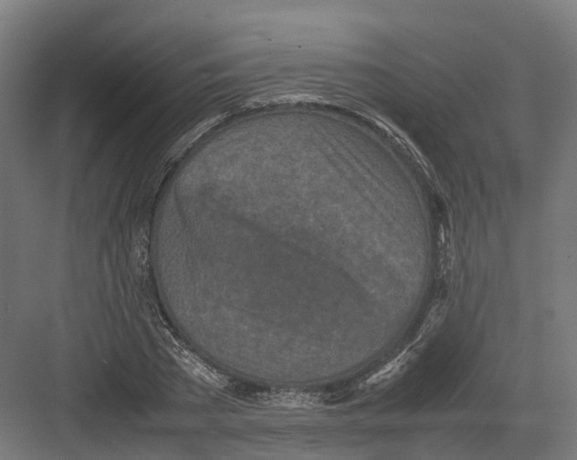 X0000082140785200702162141