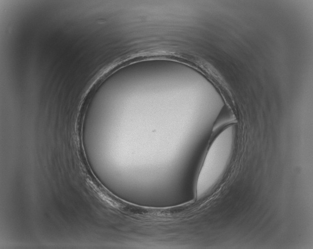 X0000082140789200702162141