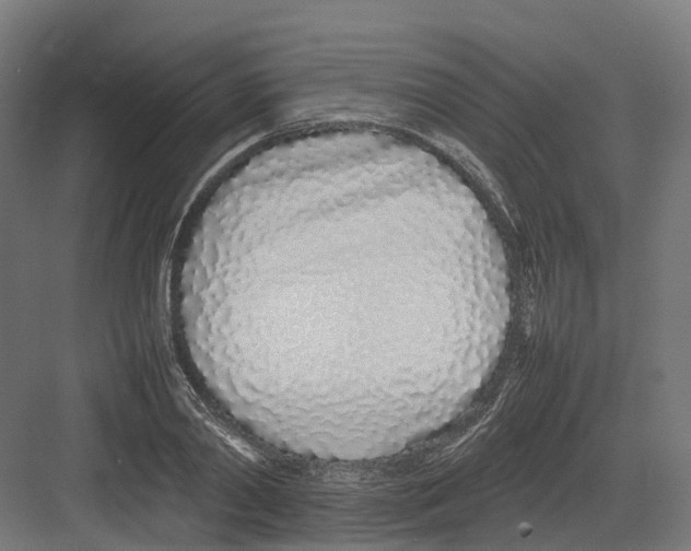 X0000082140790200702162141