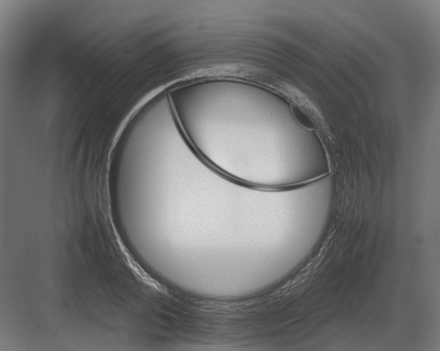 X0000082140792200702162141