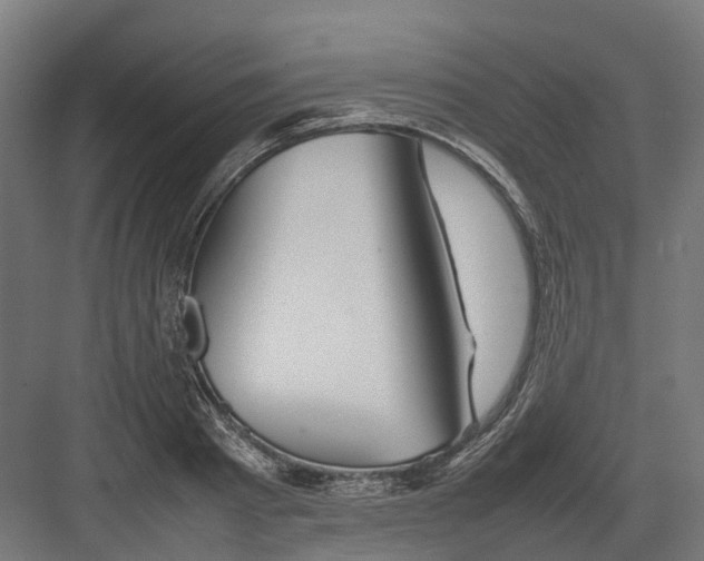 X0000082140793200702162141