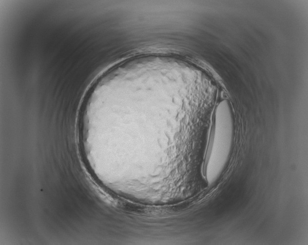 X0000082140795200702162141