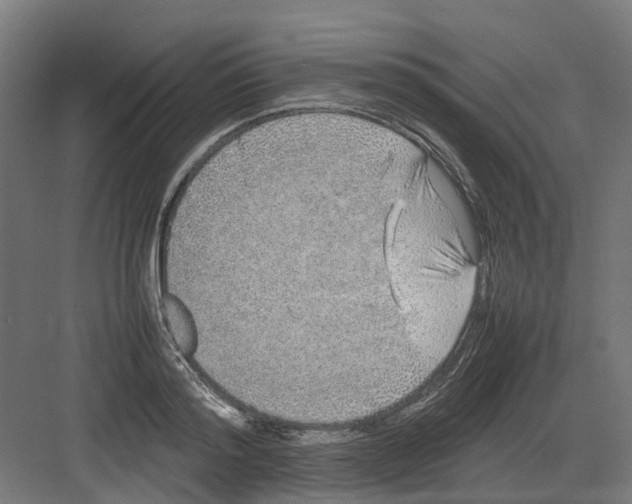 X0000082140796200702162141