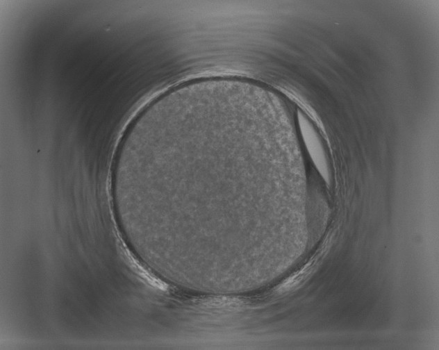 X0000082140797200702162141