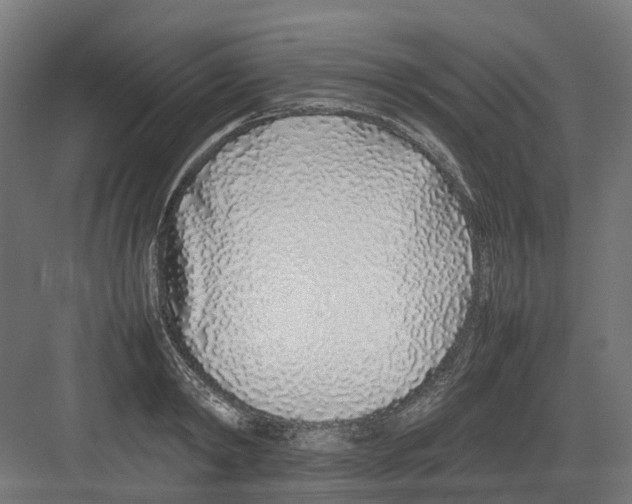 X0000082140798200702162141