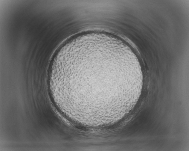 X0000082140799200702162141