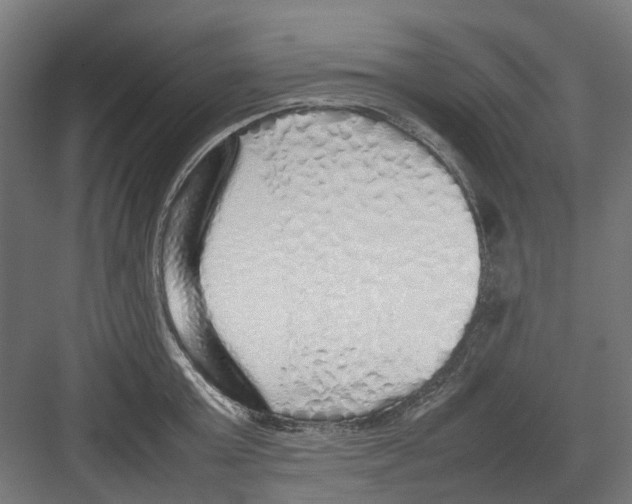 X0000082140803200702162141