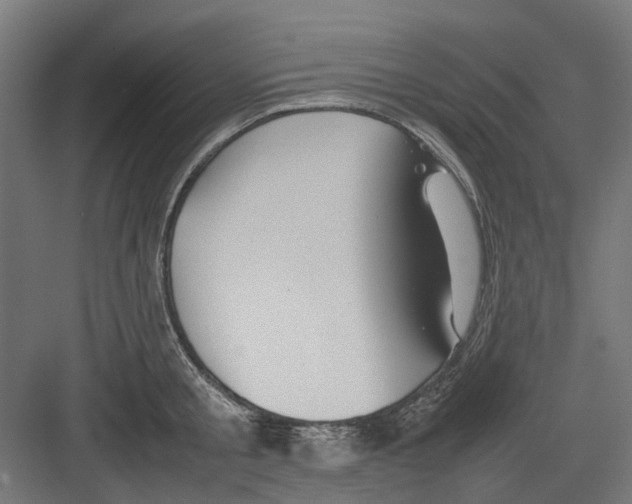 X0000082140805200702162141