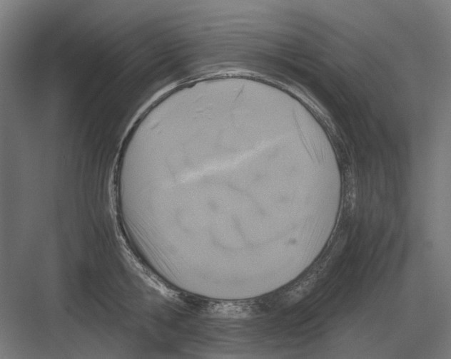 X0000082140806200702162141