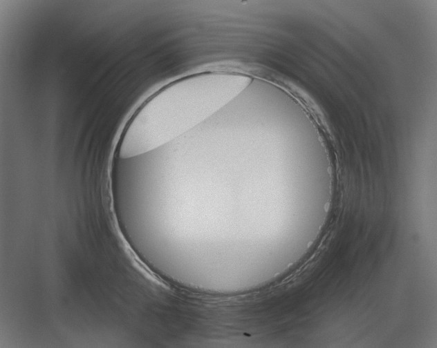 X0000082140808200702162141