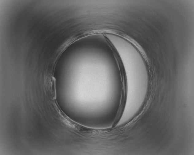 X0000082140809200702162141