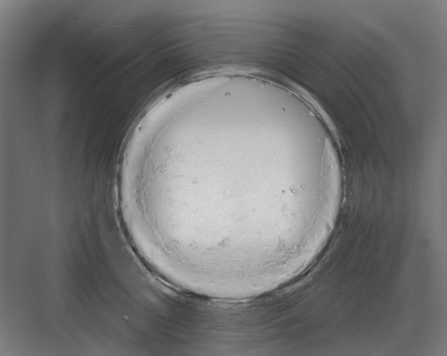 X0000082140810200702162141