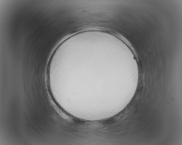 X0000082140811200702162141