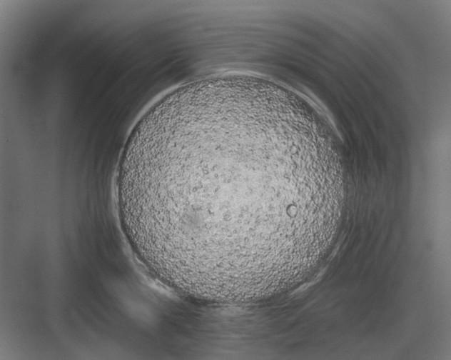 X0000082140814200702162141