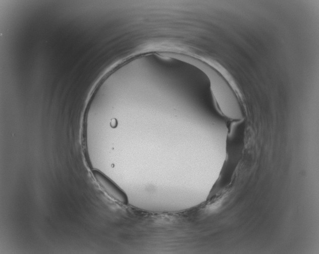 X0000082140815200702162141