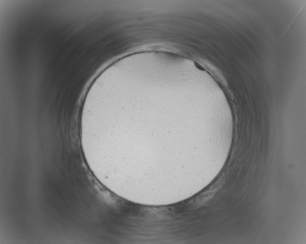 X0000082140816200702162141