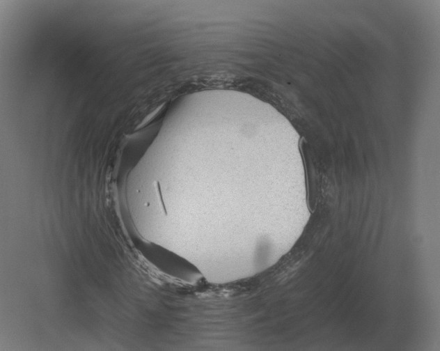 X0000082140818200702162140