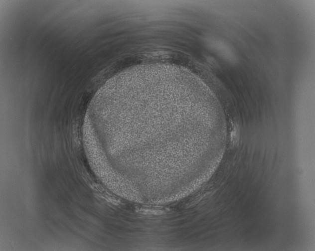 X0000082140819200702162140