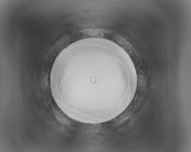 X0000082140820200702162140