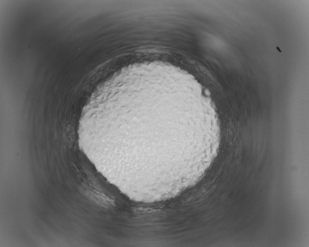 X0000082140821200702162140