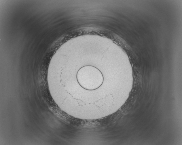 X0000082140824200702162140