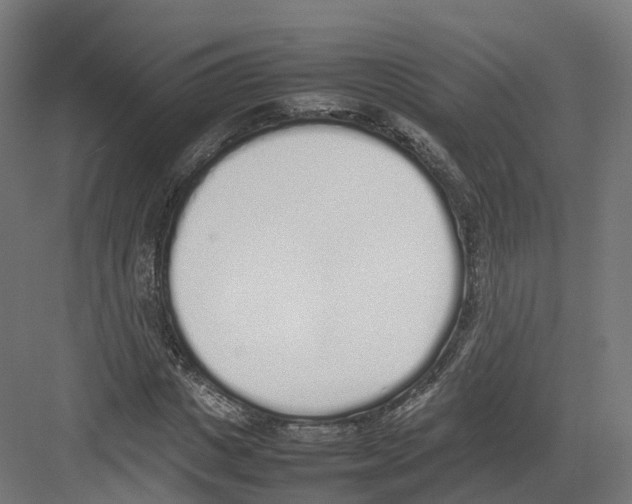 X0000082140825200702162140