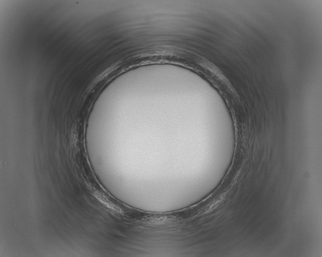 X0000082140826200702162140