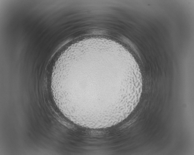 X0000082140827200702162140