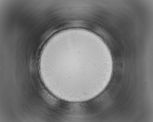 X0000082140828200702162140