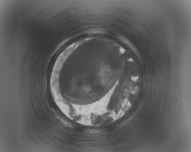 X0000082140829200702162140