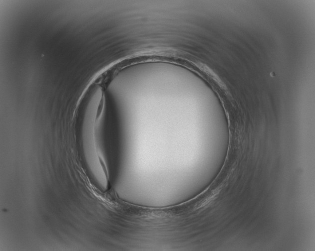 X0000082140830200702162140