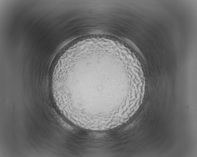 X0000082140831200702162140