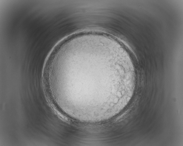 X0000082140832200702162140