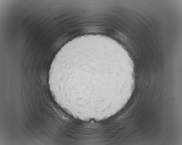 X0000082140833200702162140