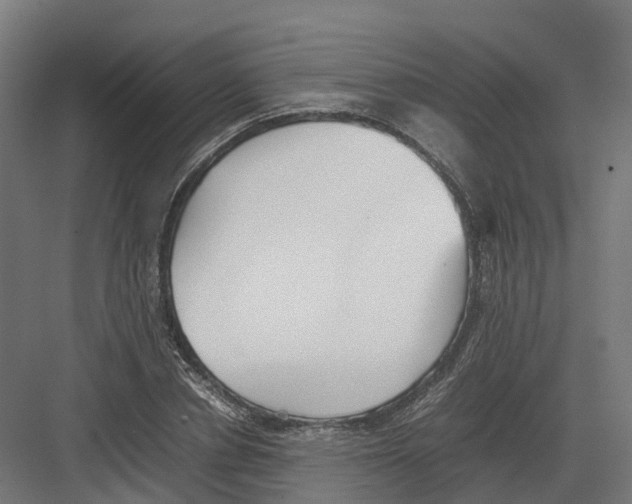 X0000082140834200702162140