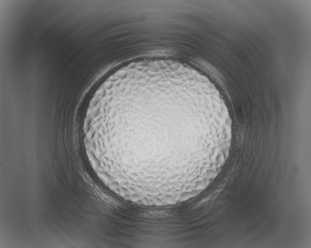 X0000082140835200702162140