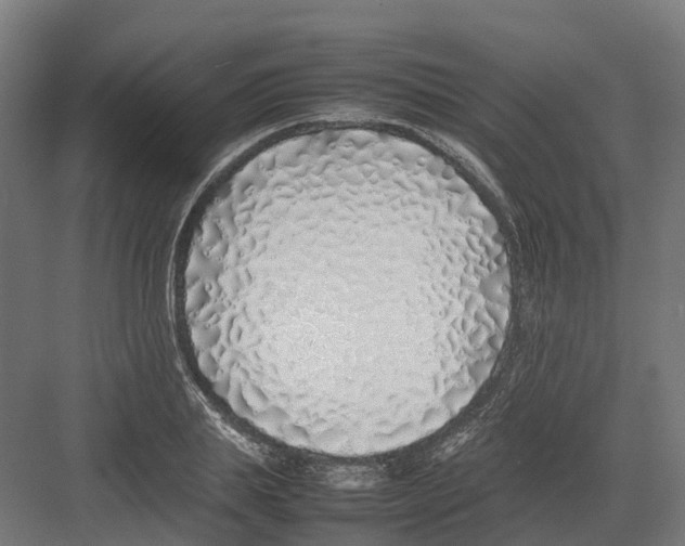 X0000082140839200702162140