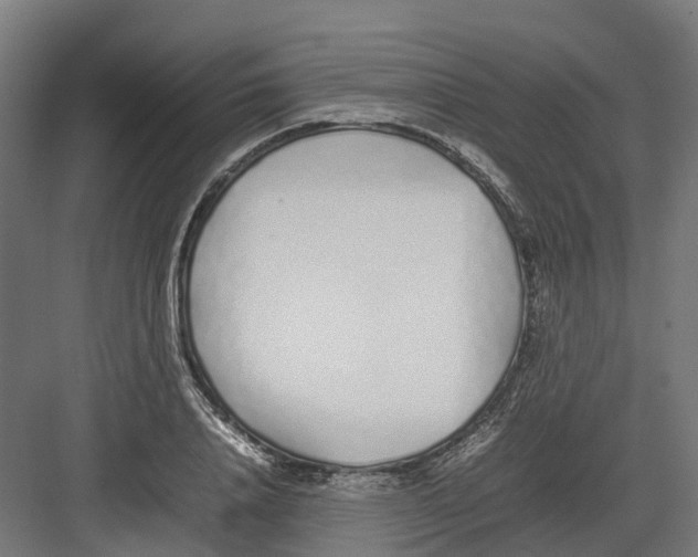 X0000082140840200702162140