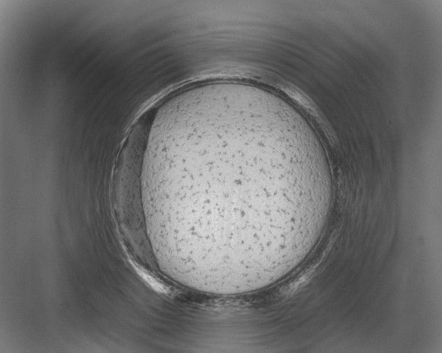 X0000082140842200702162140