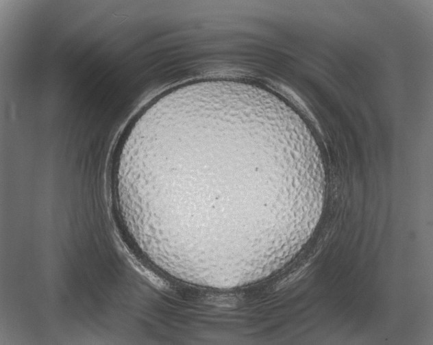 X0000082140843200702162140