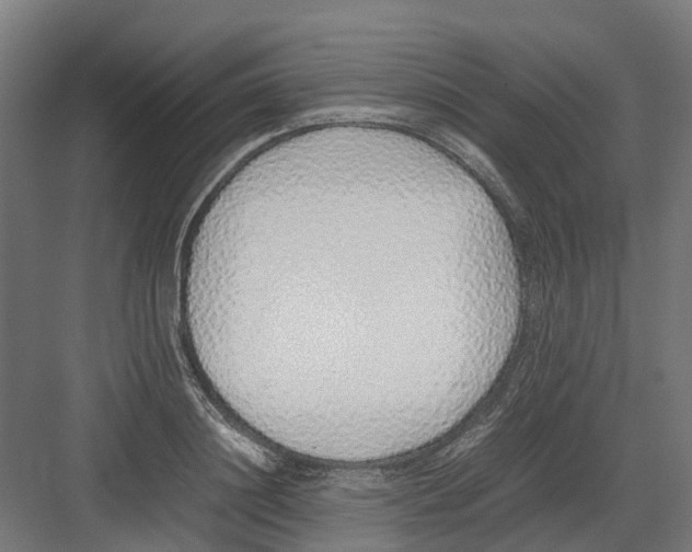 X0000082140844200702162141