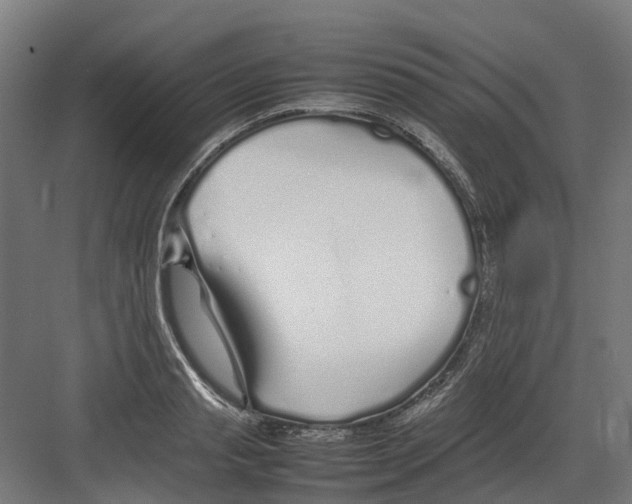 X0000082140845200702162141