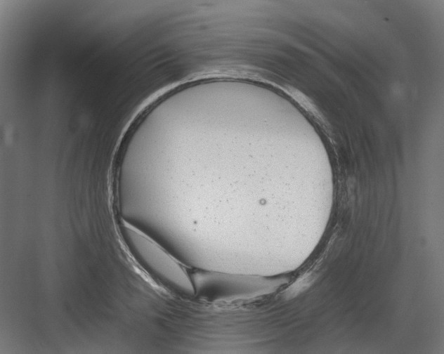 X0000082140846200702162141