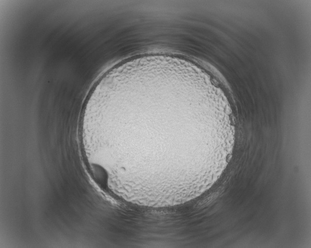 X0000082140847200702162141